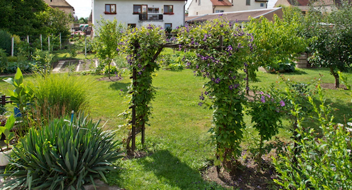 Gartenbau Darmstadt für Privatkunden