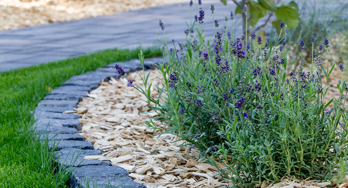 Gartenbau Darmstadt Hausverwaltung