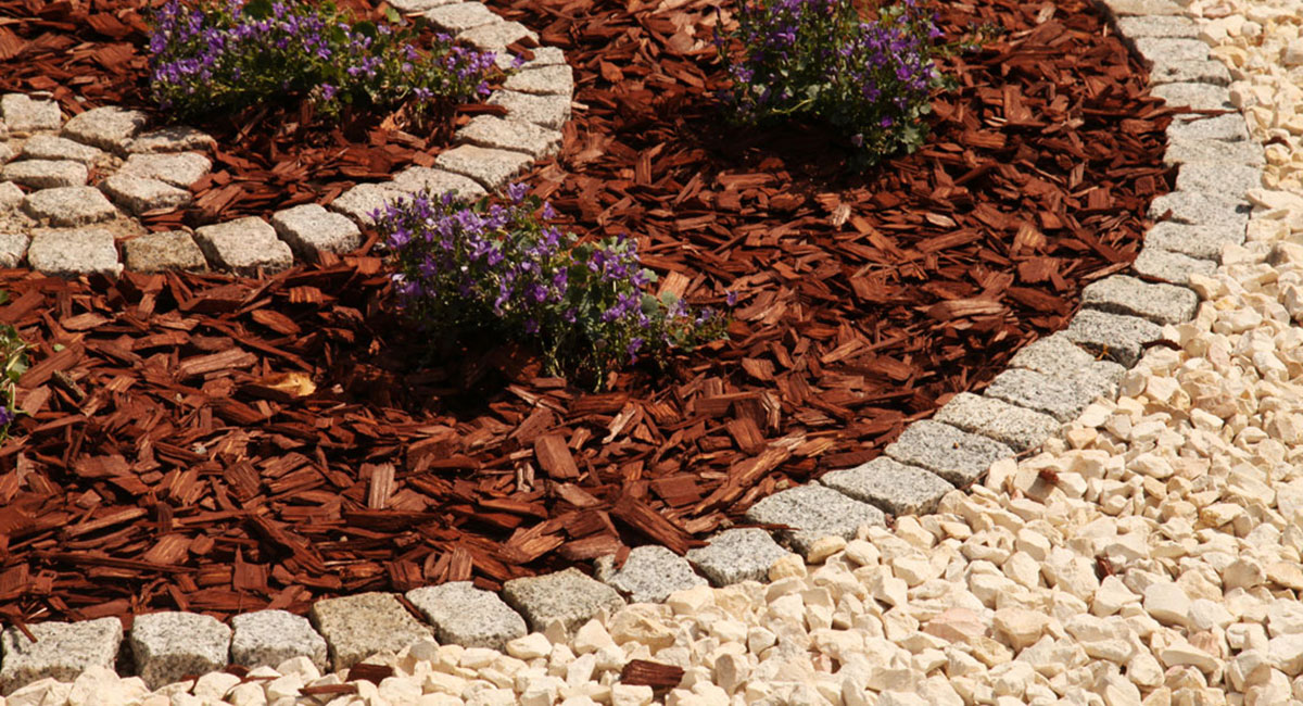 Gartenbau Darmstadt Hausverwaltung