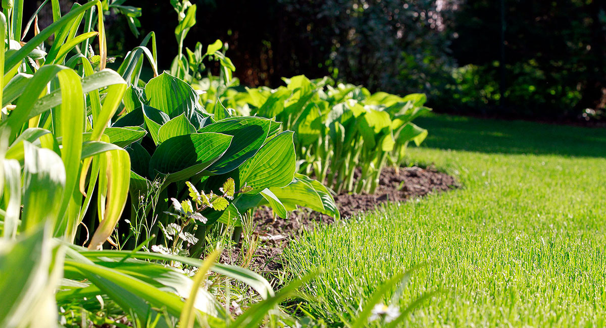 Gartenbau Darmstadt Hausverwaltung